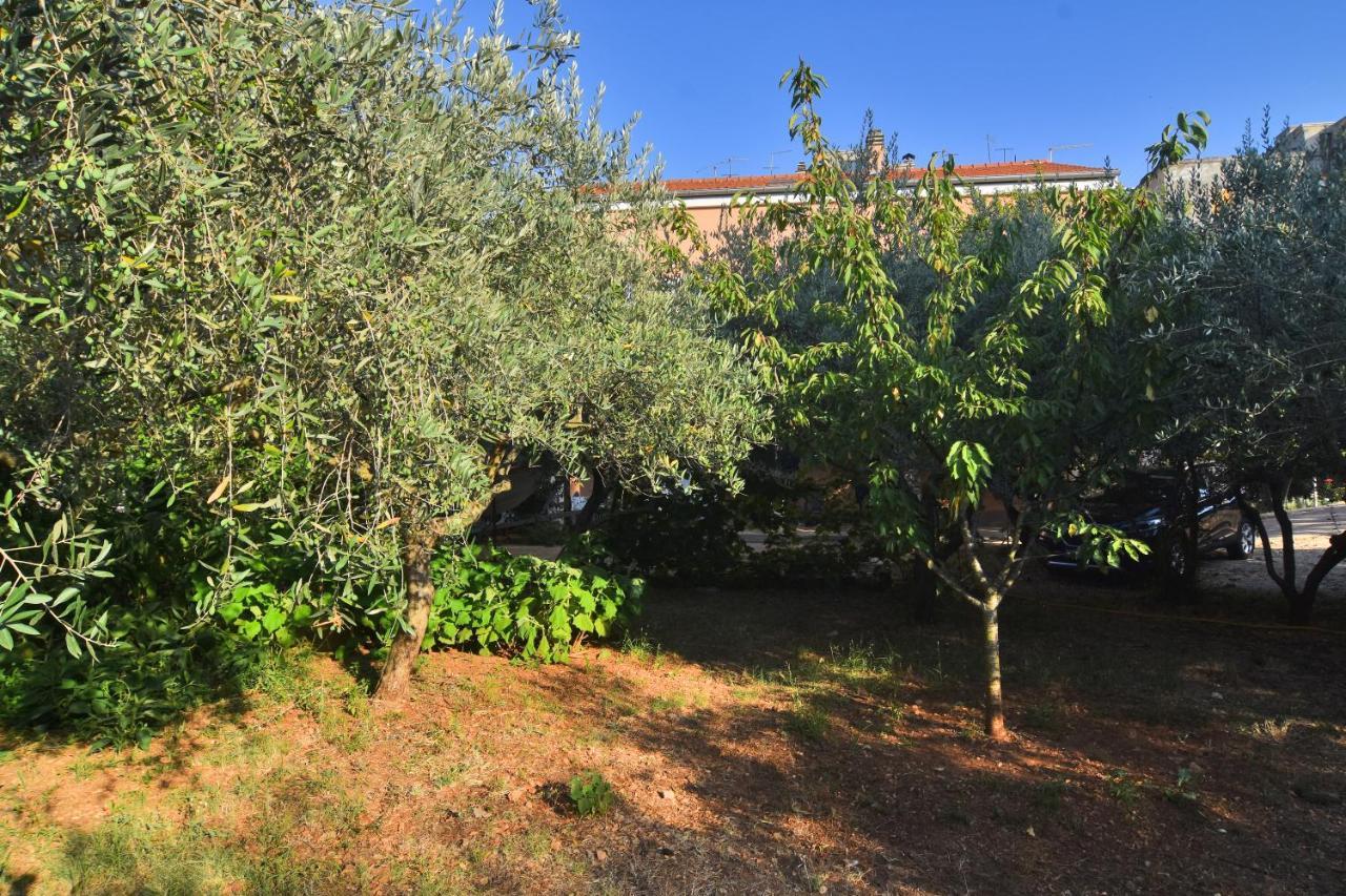 Apartments Edita Zadar Eksteriør billede